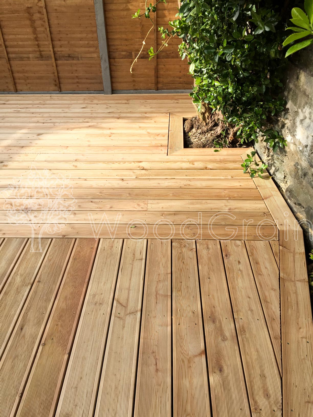 larch decking